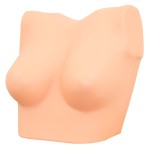 Ladies bust, small