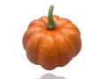 sztuczna dynia na halloween.jpg