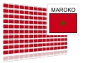 naklejki flaga maroka samoprzylepne, naklejki maroko na cenówki montip.jpg