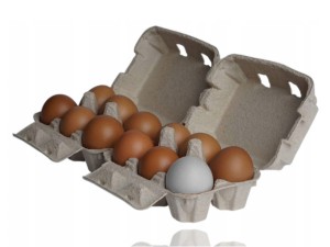 Wytłaczanki na jajka 2x6 jaj, papierowe opakowania wytłoczki na jajka, 20 szt.