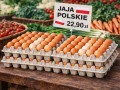 papierowe wytłaczanki na jajka 30 szt, ekologiczne opakowania na jajka 30 szt montip.jpg