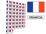 Naklejki flagi Francji, etykiety samoprzylepne wodoodporne, Flaga + napis FRANCJA, arkusz 50 szt.