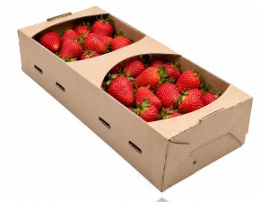 Pojemnik na truskawki, kobiałka papierowa brązowa 28,2x11,7x7,3 cm 1 kg 20 sztuk