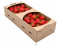 kobiałka papierowa 1kg, łubianka papierowa montip.jpg