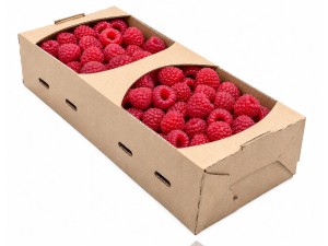 Kobiałka papierowa brązowa, pojemnik na truskawki 17,2x10,7x6,5 cm 0,5 kg 20 sztuk
