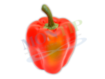 Papryka czerwona sztuczna  warzywa