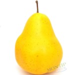 Gruszka sztuczna